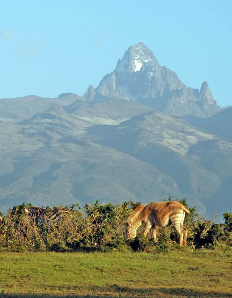 comorant-lake-naivasha-bird-watching-tour