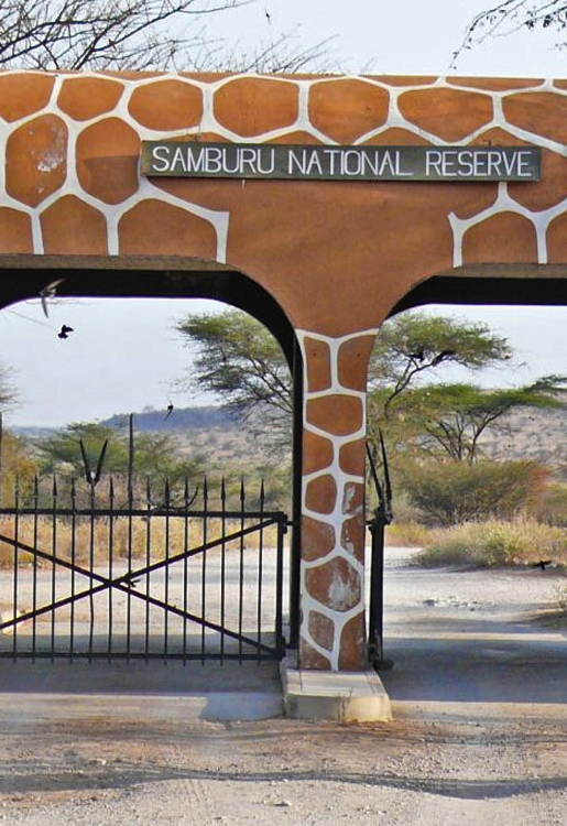 Amboseli-elephant-kenya-safari-africa